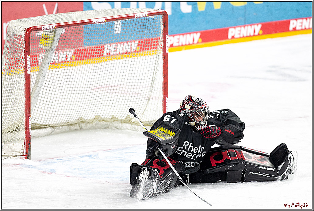 PENNY DEL;  Koelner Haie - Wolfsburg Grizzlys; Koeln, 17.03.2021